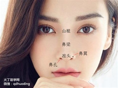 鼻樑左側有痣女|鼻翼左侧有痣代表什么 鼻头有痣的女人运势